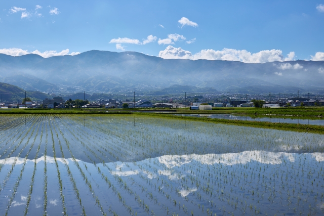 笹賀地域でみつけた風景や日常の一瞬をInstagramに投稿する企画