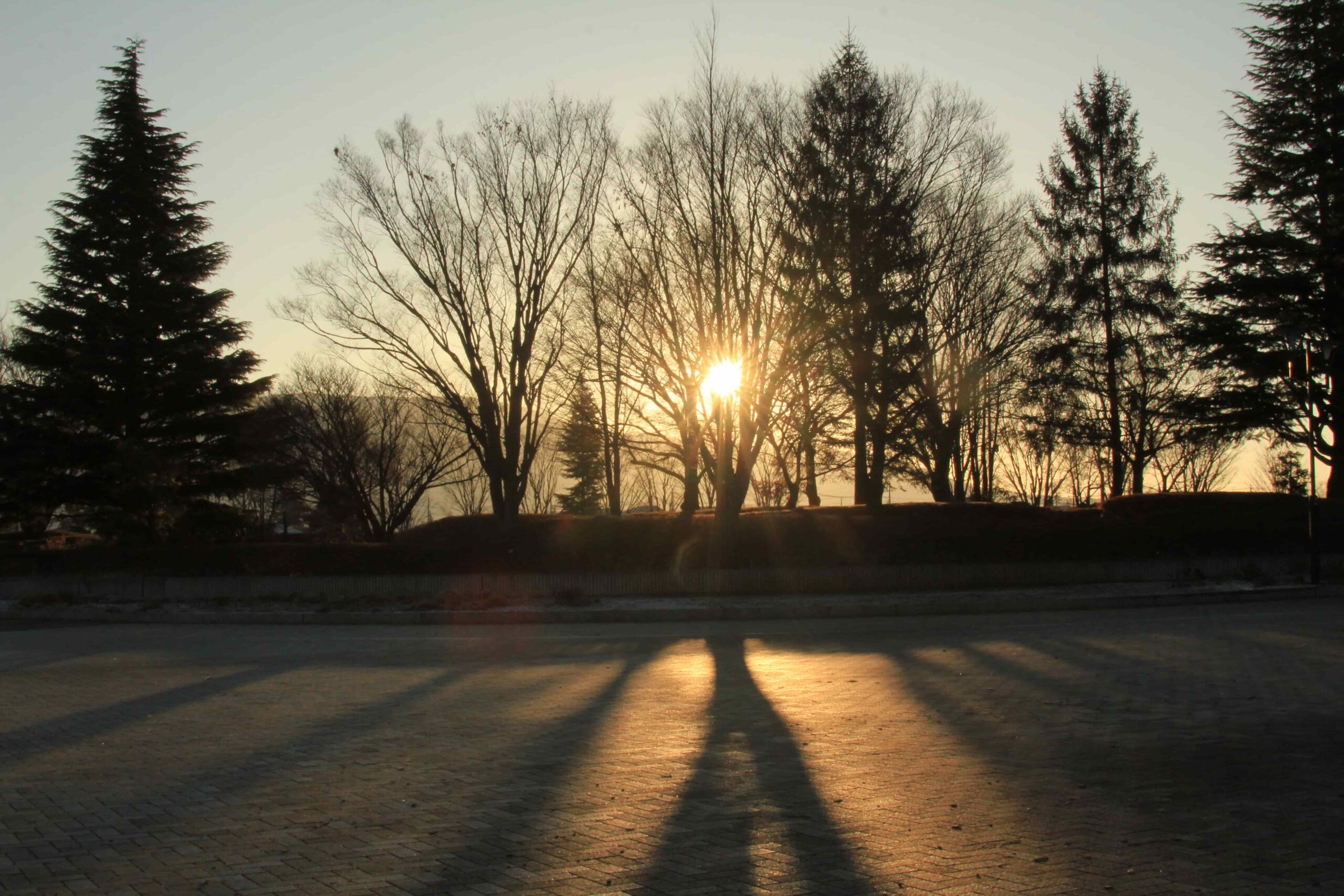 初日の出を受けて
