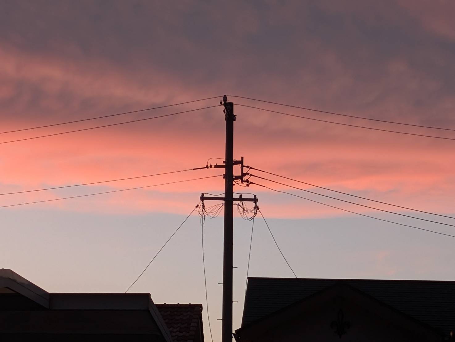 凛とした電柱と又とない夕焼け空